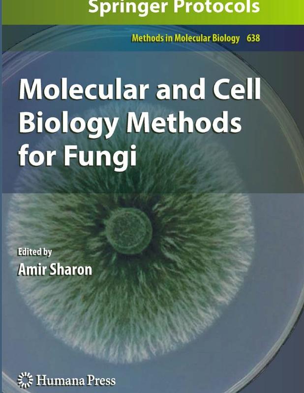 Buy Molecular and Cell Biology Methods for Fungi Book Online at Best ...