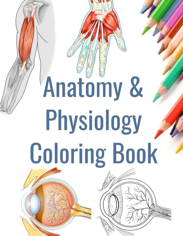 HUMAN ANATOMY AND PHYSIOLOGY COLORING BOOK intelligence overview